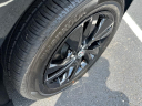 Thumbnail image of 2025 Buick Encore GX at Tapp Motors