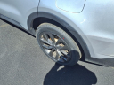 Thumbnail image of 2022 Kia Sorento at Team Kia