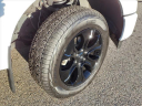 Thumbnail image of 2022 Ford F-150 at Mcfarland Ford Rochester