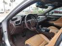 Thumbnail image of 2019 Lexus ES 350 at North Park Lexus Rio Grande Valley - NEW