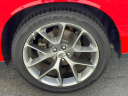 Thumbnail image of 2022 Dodge Challenger at Champion Auto Sales Broadway