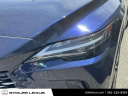 2023 Lexus RX 350 at Stoler Lexus