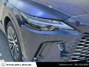Thumbnail image of 2023 Lexus RX 350 at Stoler Lexus