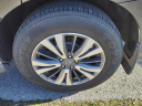Thumbnail image of 2020 Nissan Pathfinder at Mathews Nissan