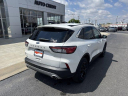 Thumbnail image of 2022 Ford Escape at Ed Martin Budget Car Sales. USED