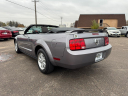 Thumbnail image of 2006 Ford Mustang at PERFECT 10 AUTO