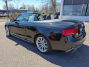 Thumbnail image of 2015 Audi A5 at ShrewsburyVolkswagen-Used of Tinton Falls, NJ