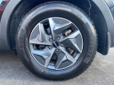 Thumbnail image of 2022 Kia Sorento Hybrid at Atlantic Kia