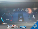 Thumbnail image of 2024 Ford F-250 Super Duty at Levittown Ford