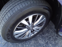 Thumbnail image of 2020 Nissan Pathfinder at Arnie Bauer Chevrolet Buick