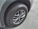 Thumbnail image of 2021 Nissan Rogue at Matthews Nissan Of Wellesley