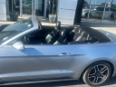 Thumbnail image of 2023 Ford Mustang at Janssen Buick GMC