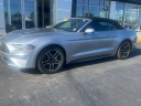 Thumbnail image of 2023 Ford Mustang at Janssen Buick GMC