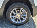 Thumbnail image of 2022 GMC Terrain at T & T Coast Buick Gmc