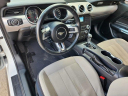 Thumbnail image of 2023 Ford Mustang at Classic Chevy Grapevine