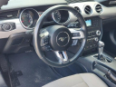 Thumbnail image of 2023 Ford Mustang at Classic Chevy Grapevine