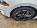 Thumbnail image of 2023 Ford Mustang at Classic Chevy Grapevine
