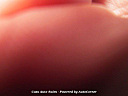 Thumbnail image of 2012 Honda Accord at Cass Auto Sales
