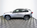 Thumbnail image of 2025 Toyota RAV4 at Toyota Scion of Tampa Bay