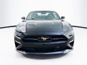 Thumbnail image of 2019 Ford Mustang at MccaffertyFordOfLanghorne of Langhorne, PA