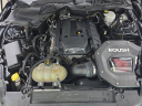 Thumbnail image of 2019 Ford Mustang at MccaffertyFordOfLanghorne of Langhorne, PA