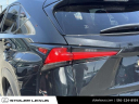 2021 Lexus NX 300 Base at Stoler Lexus