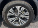 Thumbnail image of 2022 Nissan Rogue at Kia of Cape Coral