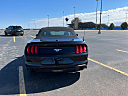 2018 Ford Mustang EcoBoost at Honorable Auto Sales