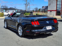 Thumbnail image of 2017 Ford Mustang at Miller Toyota Manassas