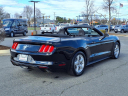 Thumbnail image of 2017 Ford Mustang at Miller Toyota Manassas