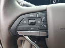 Thumbnail image of 2021 Cadillac Escalade ESV at Lee Buick GMC [New]