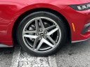 Thumbnail image of 2024 Ford Mustang at Route 130 Chrysler Jeep Dodge