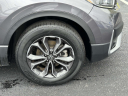 Thumbnail image of 2022 Honda CR-V at Honda of Manhasset