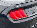 Thumbnail image of 2023 Ford Mustang at Wayne Ford