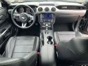 Thumbnail image of 2023 Ford Mustang at Wayne Ford