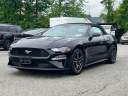 Thumbnail image of 2023 Ford Mustang at Wayne Ford