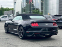 Thumbnail image of 2023 Ford Mustang at Wayne Ford