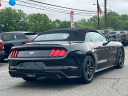 Thumbnail image of 2023 Ford Mustang at Wayne Ford