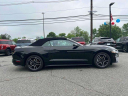 Thumbnail image of 2023 Ford Mustang at Wayne Ford