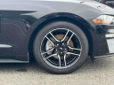 Thumbnail image of 2023 Ford Mustang at Wayne Ford