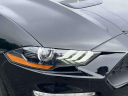 Thumbnail image of 2023 Ford Mustang at Wayne Ford