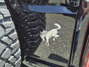 Thumbnail image of 2024 Ford Bronco at Liccardi Ford Lincoln
