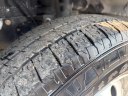 Thumbnail image of 2022 Ford Transit at WORKTRUX LLC