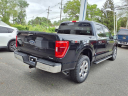 Thumbnail image of 2022 Ford F-150 at Ray Seraphin Ford, Inc.