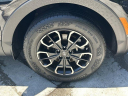 Thumbnail image of 2022 Hyundai SANTA CRUZ at Scott Evans Nissan New
