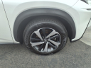 Thumbnail image of 2021 Lexus NX 300h at Temecula Valley Lexus