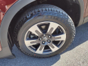 Thumbnail image of 2018 Honda Ridgeline at Gallatin Honda