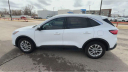 Thumbnail image of 2022 Ford Escape at Bob Hurley Ponca Chrysler Jeep Dodge Ram