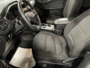 2023 Ford Escape Active at Stuckey Ford - New and Used