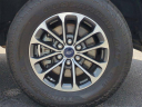 Thumbnail image of 2019 Ford F-150 at Sunbelt Ford of Albany - New